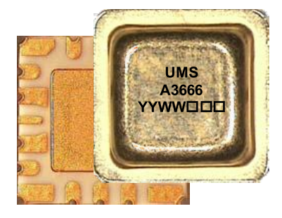 Малошумящий усилитель компании UMS — CHA3666-FAA